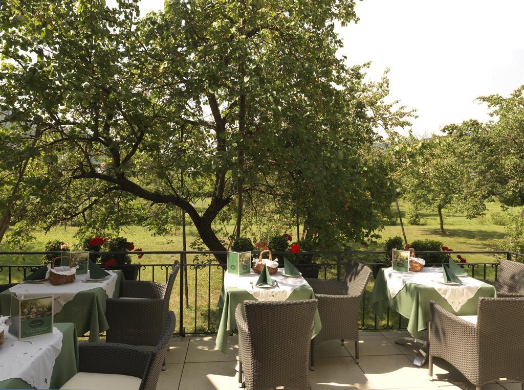 Donauhof - Hotel Garni Вайсенкірхен-ін-дер-Вахау Екстер'єр фото
