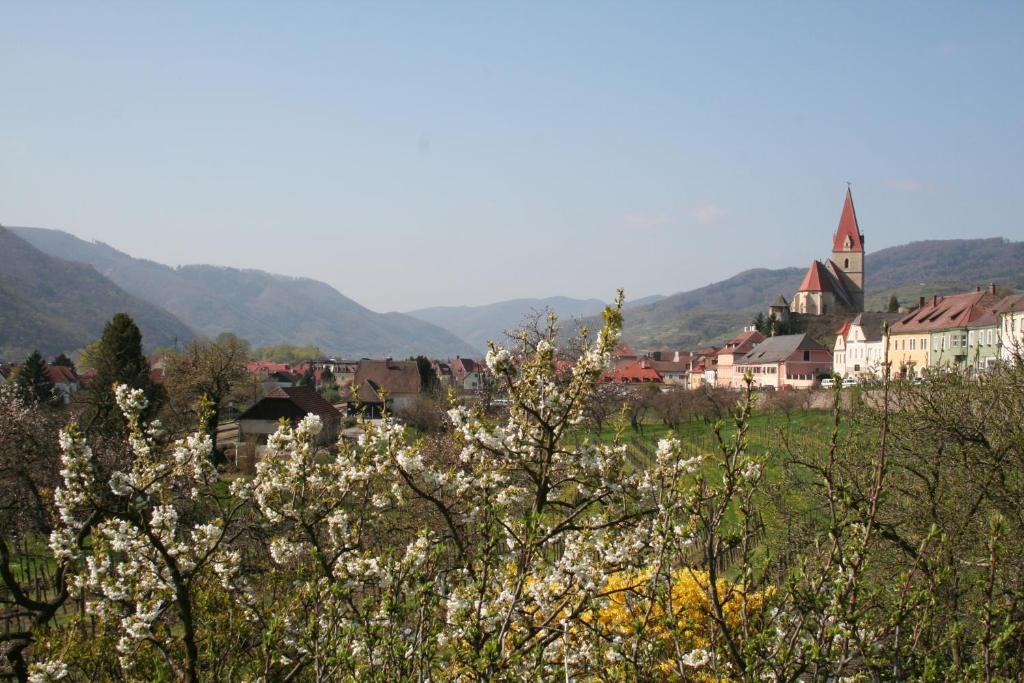 Donauhof - Hotel Garni Вайсенкірхен-ін-дер-Вахау Екстер'єр фото